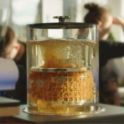 Baby Hardtank Cold Brew Soğuk Demleme Makinesi - Thumbnail
