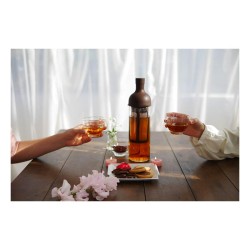 Hario FIC-70-CBR Cold Brew Bottle with Filter, 650 ml, Brown - 3