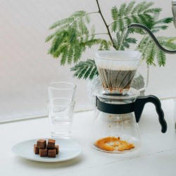 Hario PED-02-T Pegasus 02 Plastic Dripper, Clear - 3