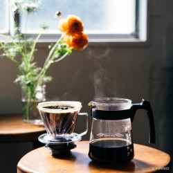 Hario PED-02-T Pegasus 02 Plastic Dripper, Clear - 5