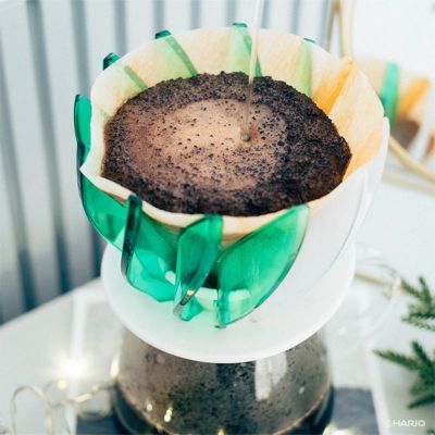 طقم أضلاع Hario RIB-6-TG Suiren طقم أضلاع من 6 قطع، أخضر - Hario