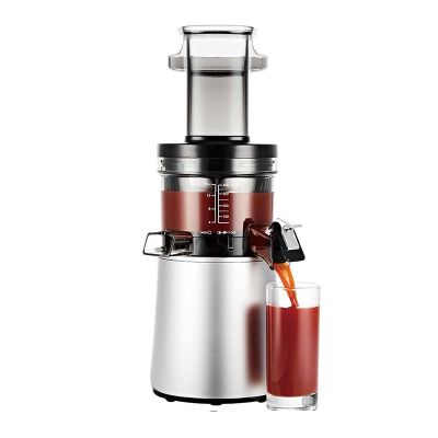 Hurom H-AA ALPHA Slow Juicer Katı Meyve Sıkacağı, Metalik Gri - Hurom