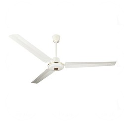 Kaskar - Taflan K56005 Ceiling Fan, 142 cm, White - Taflan