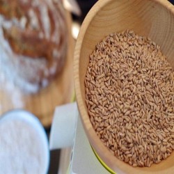 Komo 2032 KoMoMio Flour Mill, Black - 5