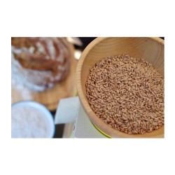 Komo 2033 KoMoMio Мельница для муки, белый - 3