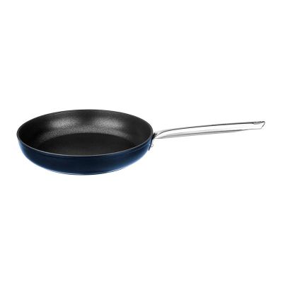 Leggno MST2800TV24BL Master Titanium Tava, 24 cm, Mavi - 1