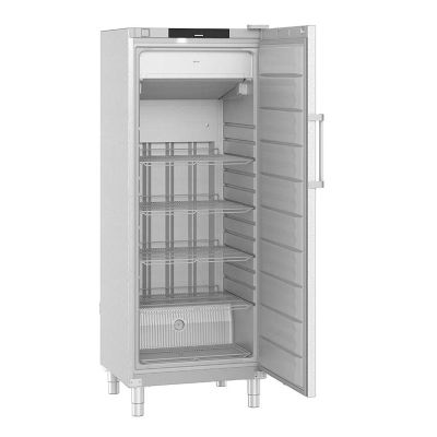 Liebherr FFFCvg 6501 Dik Tip Tek Kapılı Derin Dondurucu, 544 L - 1