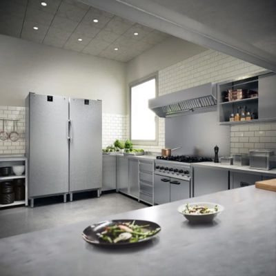 Liebherr FFFCvg 6501 Dik Tip Tek Kapılı Derin Dondurucu, 544 L - 6