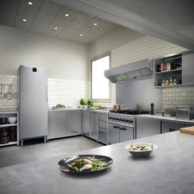 Liebherr FRFCvg 6501 Dik Tip Buzdolabı, Tek Kapılı, 655 L - 6