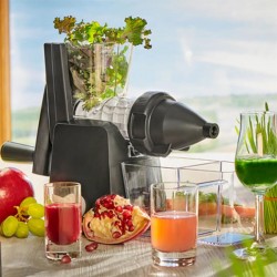 Lurch Base & Soul Slow Juicer Solid Juicer - 4