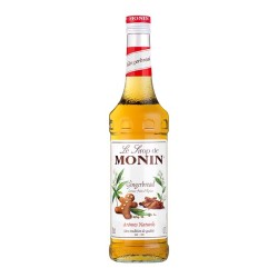 Monin شراب الزنجبيل، 700 مل - Monin