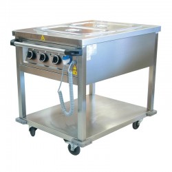Öztiryakiler Movable Bain Marie with Base Shelf, 2 GN 1/1-200 Capacity - Öztiryakiler