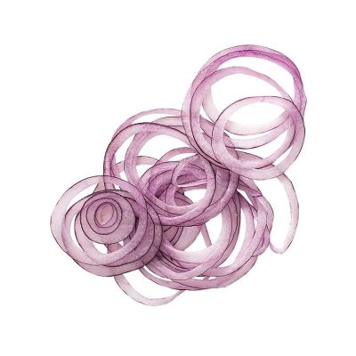 Robot Coupe Cutting Disc, 1 mm - Robot Coupe