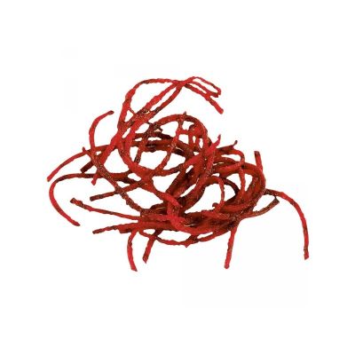 Robot Coupe Grating Disc, 2 mm - Robot Coupe