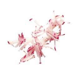 Robot Coupe Лезвие для резки полос, 2x2 мм - Robot Coupe (1)