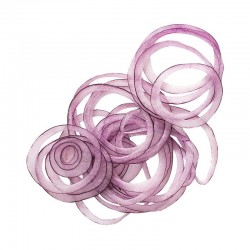 Robot Coupe Thin Slicer Disc, 1 mm - Robot Coupe (1)