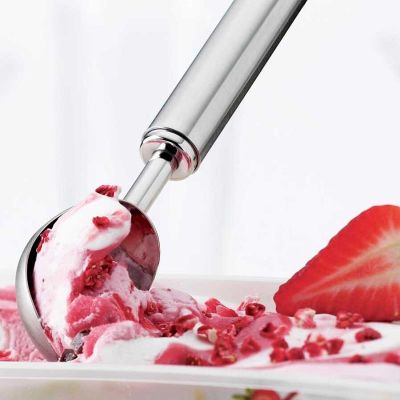 Rösle 12741 Stainless Steel Ice Cream Spoon, 21 cm - Rösle