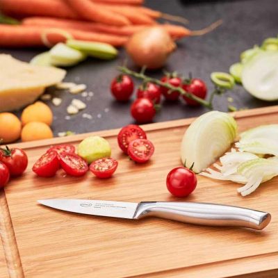 Rösle 13710 Basic Line Stainless Steel Paring Knife, 9 cm - Rösle