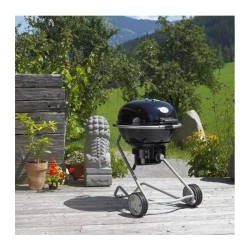 Rösle Air F50 Barbecue, Charcoal - 5