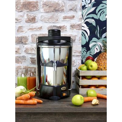 Santos No 50 Juicer - 4