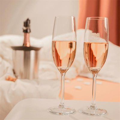 Vacu Vin 3647360 Aktif Şampanya Soğutucu, Elegant - 5