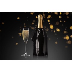 Vacu Vin 38856606 Active Champagne Cooler, Black - 5
