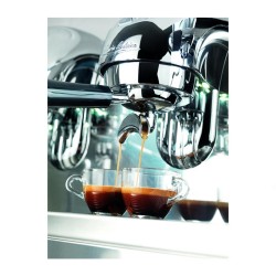 Victoria Arduino Adonis Style Espresso Kahve Makinesi, 2 Gruplu, Metalik - Thumbnail