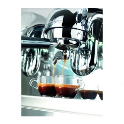 Victoria Arduino Adonis Style Core Espresso Kahve Makinesi, 2 Gruplu, Metalik - Thumbnail