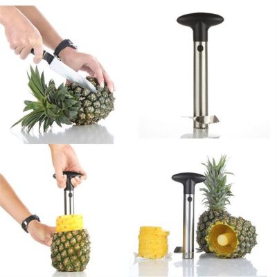 Zicco CBX-001 Pineapple Slicer - Zicco
