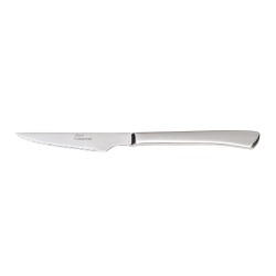 Zicco ZB-01 Steak Knife with Steel Handle, 22 cm - Zicco