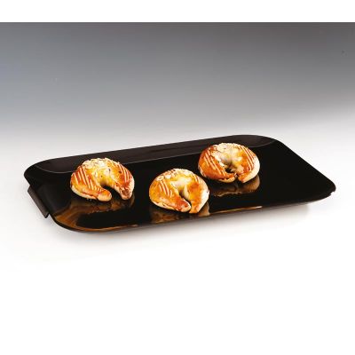 Zicco ZCP-170 Polycarbonate Corner Display Tray, 33x46 cm, Black - Zicco