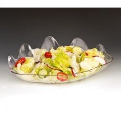 Zicco ZCP-300 Polycarbonate Oyster Display Plate, 38x27x 5 cm, Clear - Zicco