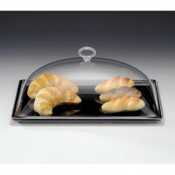 Zicco ZCP-691 Melamine Bottom Storage Container with Acrylic Lid, 25x35 cm - Zicco