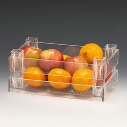 Zicco ZCP-790 Acrylic Chest Model Display Stand, 28x18x10.5 cm - Zicco