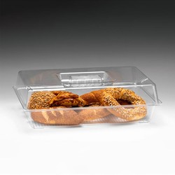 Zicco ZCP-822 Deep Model Preservation Container, 28x43x13 cm - Zicco