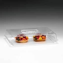 Zicco ZCP-823 Shallow Model Container, 28x43x9 cm - Zicco